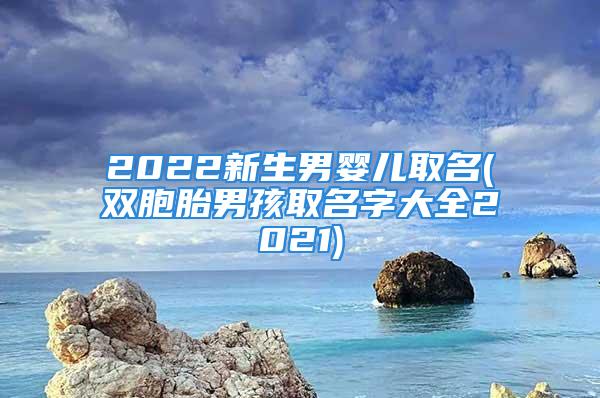 2022新生男婴儿取名(双胞胎男孩取名字大全2021)