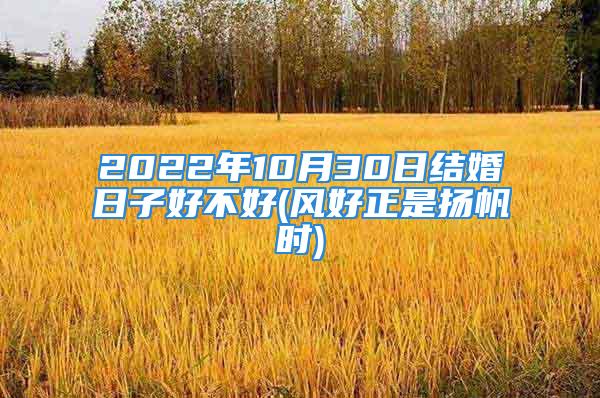 2022年10月30日结婚日子好不好(风好正是扬帆时)