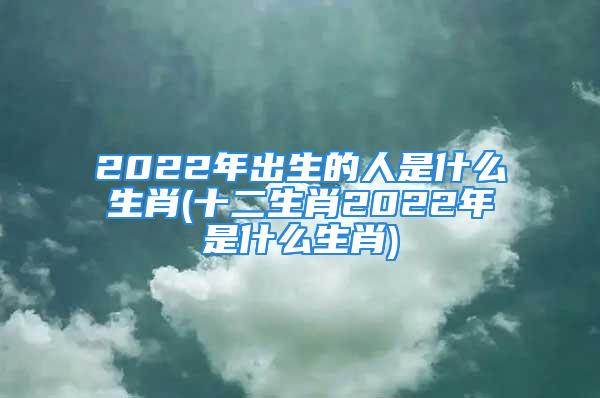 2022年出生的人是什么生肖(十二生肖2022年是什么生肖)