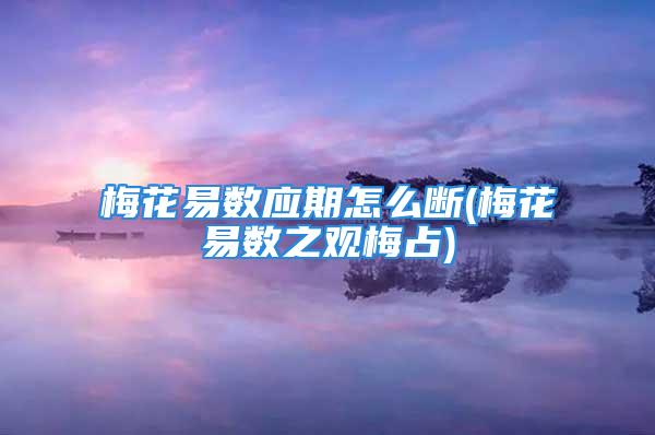 梅花易数应期怎么断(梅花易数之观梅占)