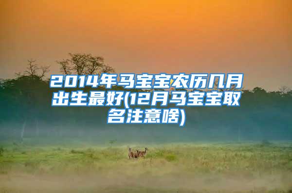 2014年马宝宝农历几月出生最好(12月马宝宝取名注意啥)