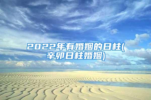 2022年有婚姻的日柱(辛卯日柱婚姻)