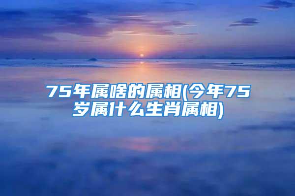 75年属啥的属相(今年75岁属什么生肖属相)