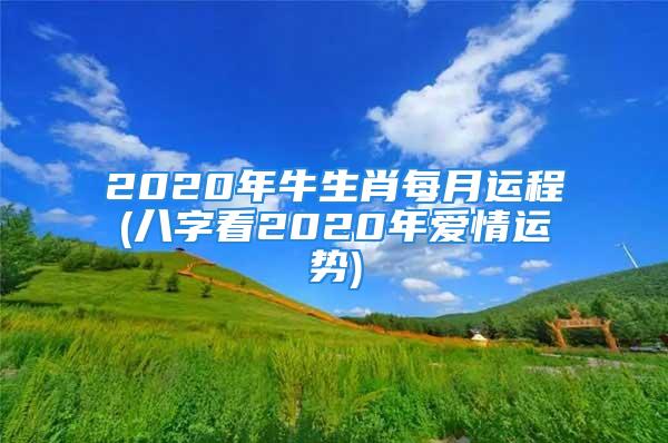 2020年牛生肖每月运程(八字看2020年爱情运势)