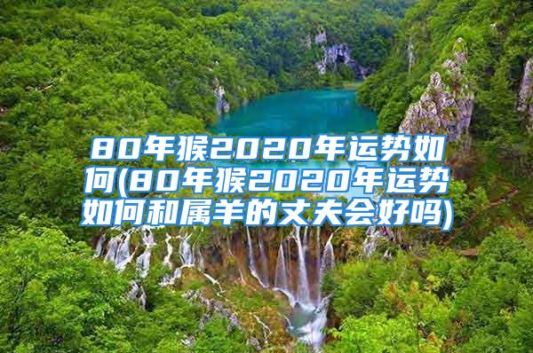 80年猴2020年运势如何(80年猴2020年运势如何和属羊的丈夫会好吗)