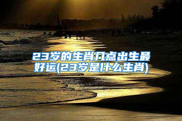 23岁的生肖几点出生最好运(23岁是什么生肖)