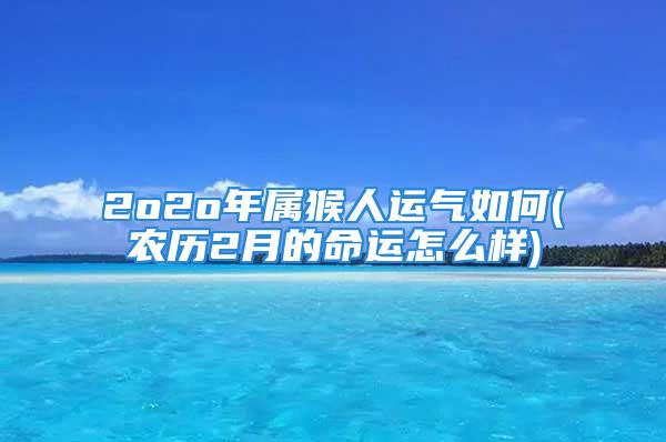 2o2o年属猴人运气如何(农历2月的命运怎么样)