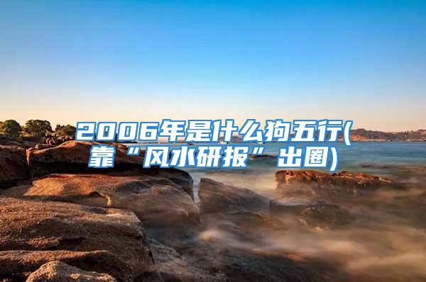 2006年是什么狗五行(靠“风水研报”出圈)