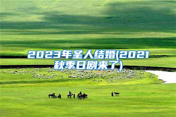 2023年圣人结婚(2021秋季日剧来了)