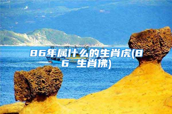 86年属什么的生肖虎(86 生肖佛)