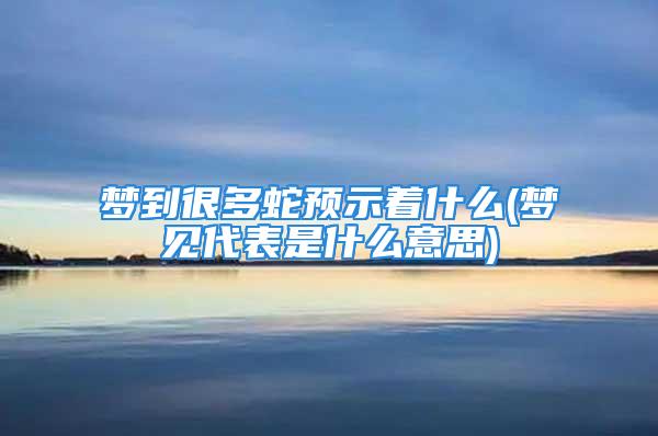 梦到很多蛇预示着什么(梦见代表是什么意思)