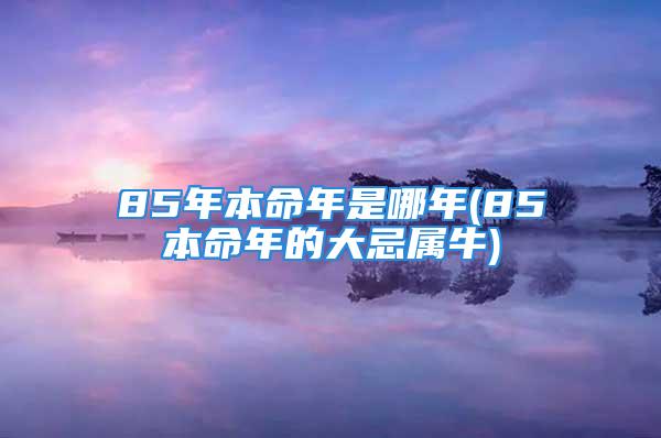 85年本命年是哪年(85本命年的大忌属牛)