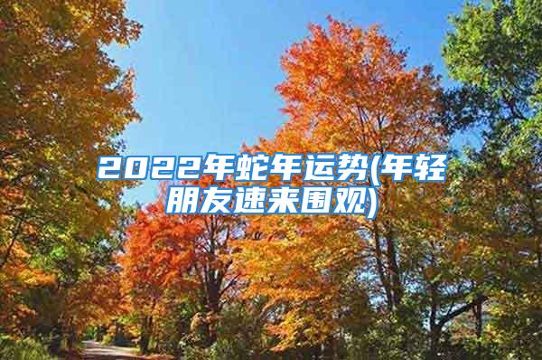 2022年蛇年运势(年轻朋友速来围观)