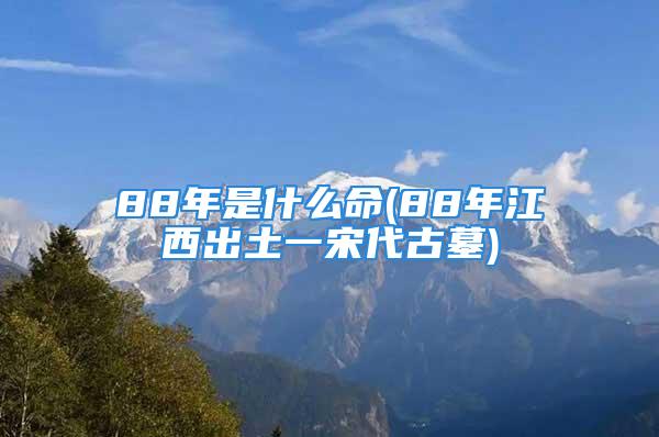 88年是什么命(88年江西出土一宋代古墓)