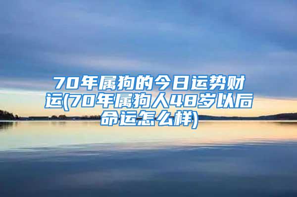 70年属狗的今日运势财运(70年属狗人48岁以后命运怎么样)