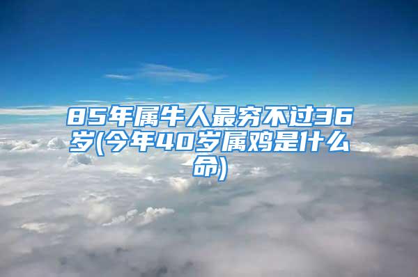 85年属牛人最穷不过36岁(今年40岁属鸡是什么命)