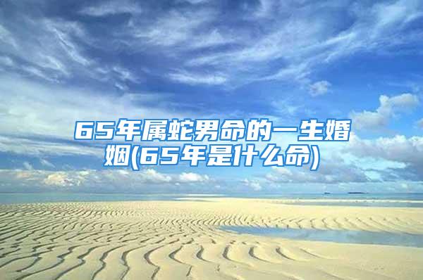 65年属蛇男命的一生婚姻(65年是什么命)