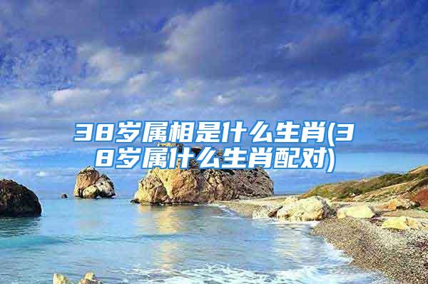 38岁属相是什么生肖(38岁属什么生肖配对)