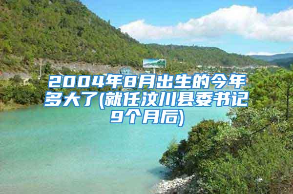 2004年8月出生的今年多大了(就任汶川县委书记9个月后)