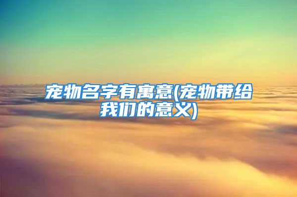 宠物名字有寓意(宠物带给我们的意义)