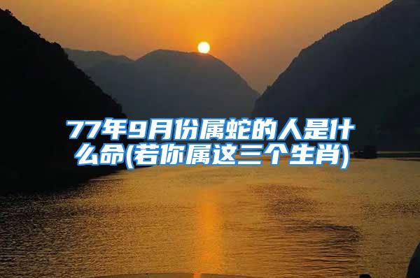 77年9月份属蛇的人是什么命(若你属这三个生肖)