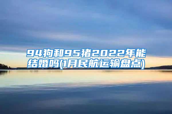 94狗和95猪2022年能结婚吗(1月民航运输盘点)