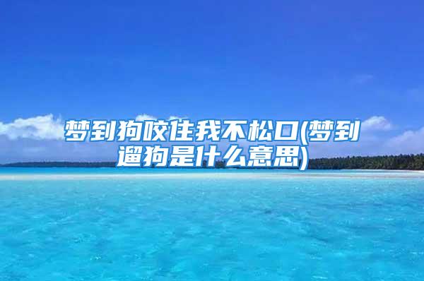 梦到狗咬住我不松口(梦到遛狗是什么意思)