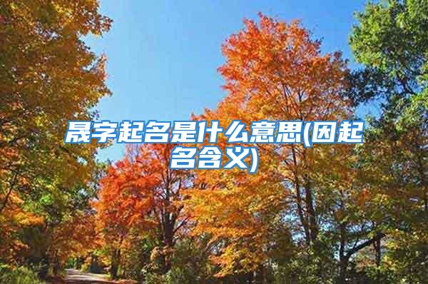 晟字起名是什么意思(因起名含义)