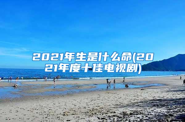 2021年生是什么命(2021年度十佳电视剧)