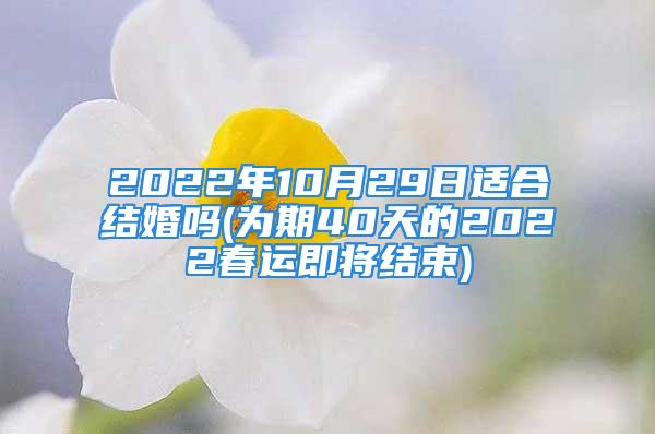 2022年10月29日适合结婚吗(为期40天的2022春运即将结束)