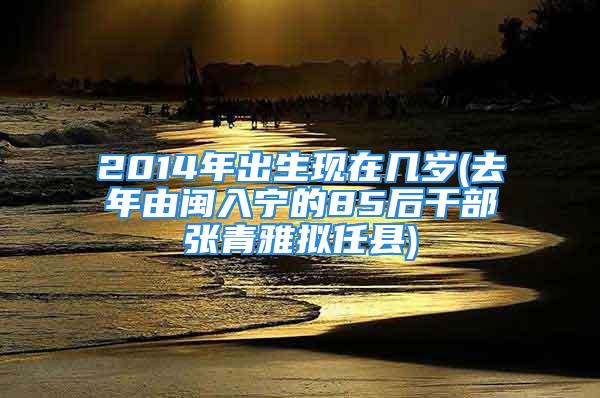 2014年出生现在几岁(去年由闽入宁的85后干部张青雅拟任县)