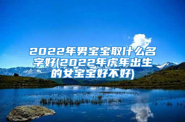 2022年男宝宝取什么名字好(2022年虎年出生的女宝宝好不好)