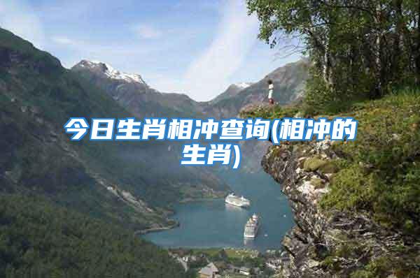 今日生肖相冲查询(相冲的生肖)