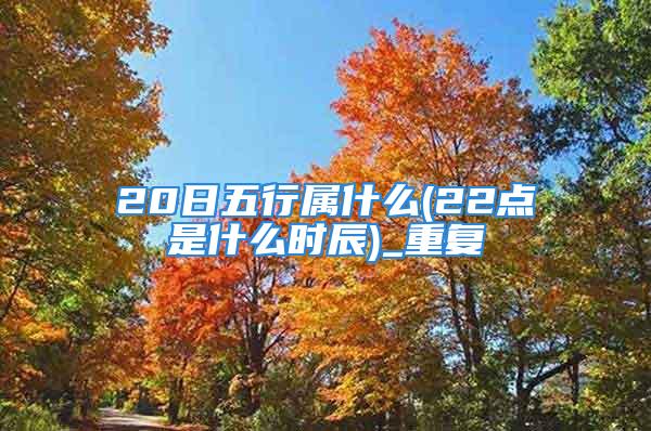 20日五行属什么(22点是什么时辰)_重复