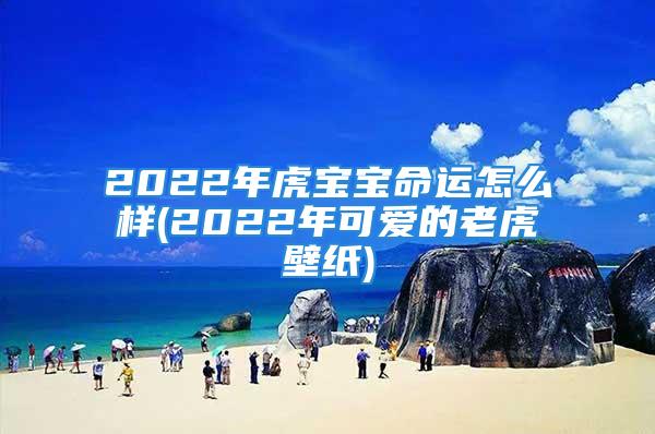 2022年虎宝宝命运怎么样(2022年可爱的老虎壁纸)