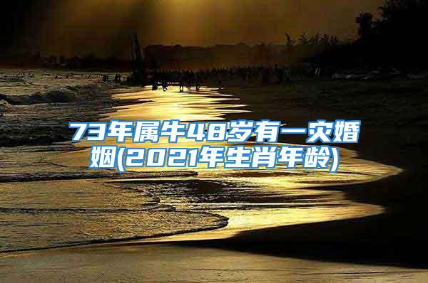 73年属牛48岁有一灾婚姻(2021年生肖年龄)