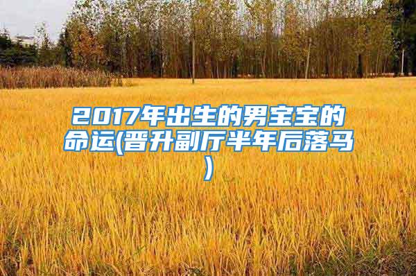 2017年出生的男宝宝的命运(晋升副厅半年后落马)