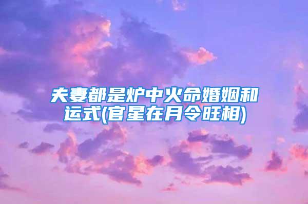 夫妻都是炉中火命婚姻和运式(官星在月令旺相)