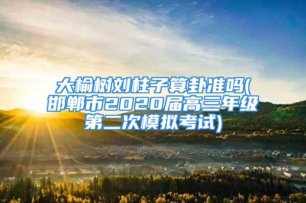 大榆树刘柱子算卦准吗(邯郸市2020届高三年级第二次模拟考试)