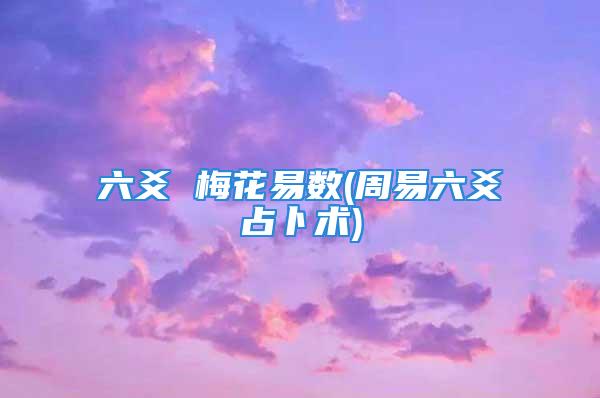 六爻 梅花易数(周易六爻占卜术)