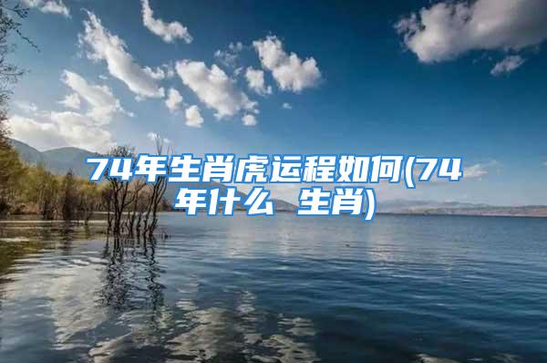 74年生肖虎运程如何(74年什么 生肖)