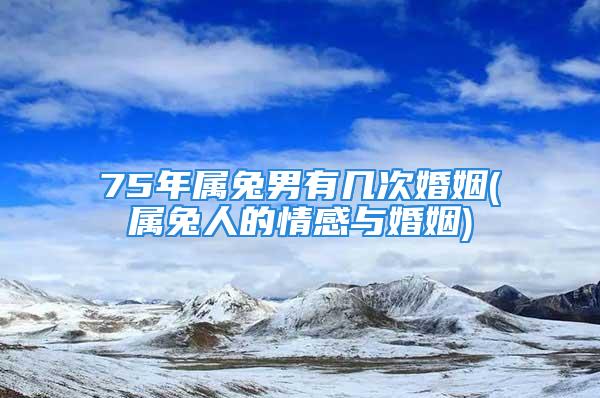 75年属兔男有几次婚姻(属兔人的情感与婚姻)