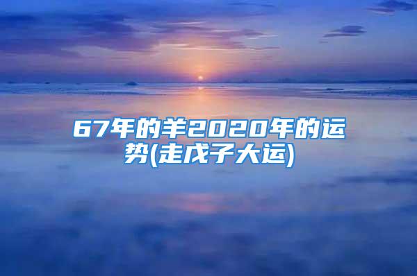 67年的羊2020年的运势(走戊子大运)