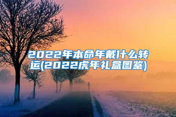 2022年本命年戴什么转运(2022虎年礼盒图鉴)