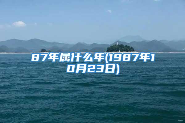 87年属什么年(1987年10月23日)