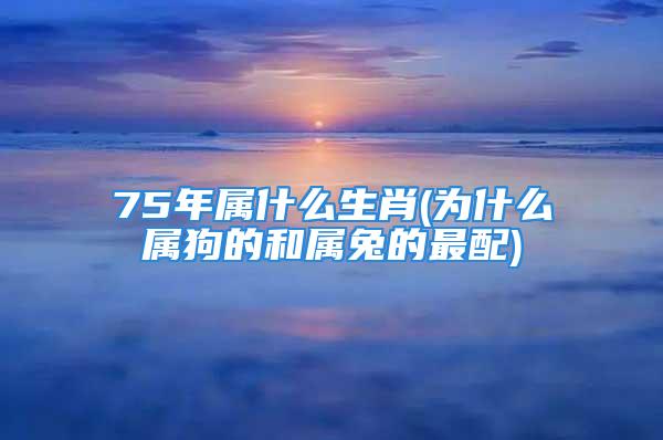 75年属什么生肖(为什么属狗的和属兔的最配)