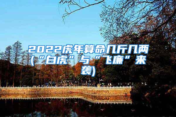 2022虎年算命几斤几两(“白虎”与“飞廉”来袭)