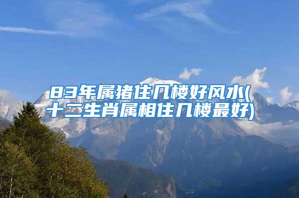 83年属猪住几楼好风水(十二生肖属相住几楼最好)