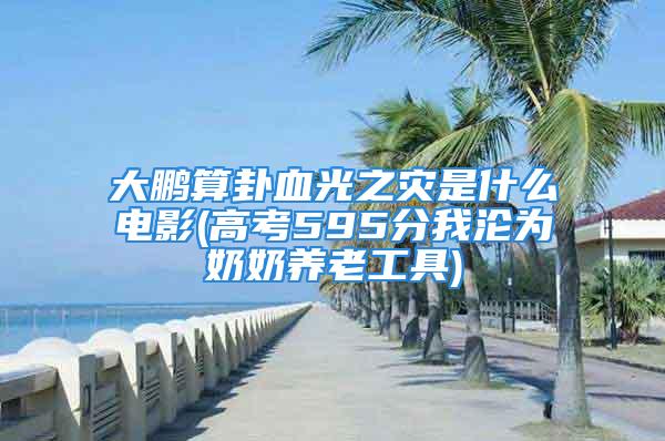 大鹏算卦血光之灾是什么电影(高考595分我沦为奶奶养老工具)