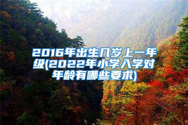 2016年出生几岁上一年级(2022年小学入学对年龄有哪些要求)